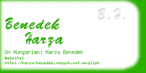 benedek harza business card